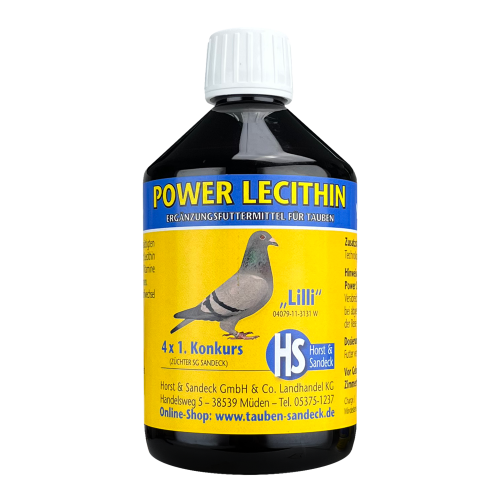 3a084d6330c016b4d2ccf2535ca95442