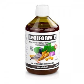 df763798f2806a1e2d7aa49ab4ca6903