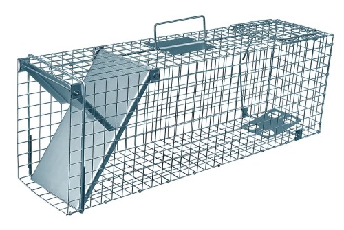 5463f3d4c3e9a82b16624db4c0b5e9cc