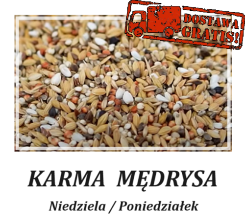 niedziela poniedzialek.png