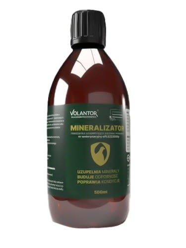 mineralizator-volantor.jpg