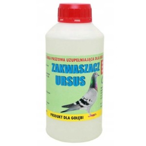 ZAKWASZCZ URSUS - 500ml