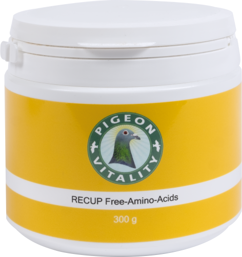 RECUP-Free-Amino-Acids-kopia.png
