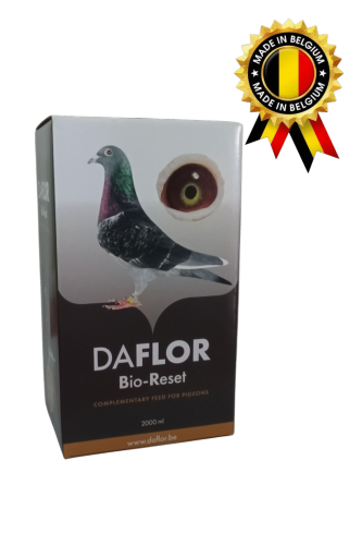 daflor.png