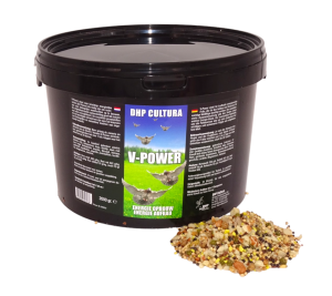 V-POWER 5L